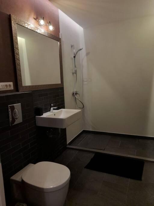 Alto Studio & Free Private Parking Brasov Ngoại thất bức ảnh