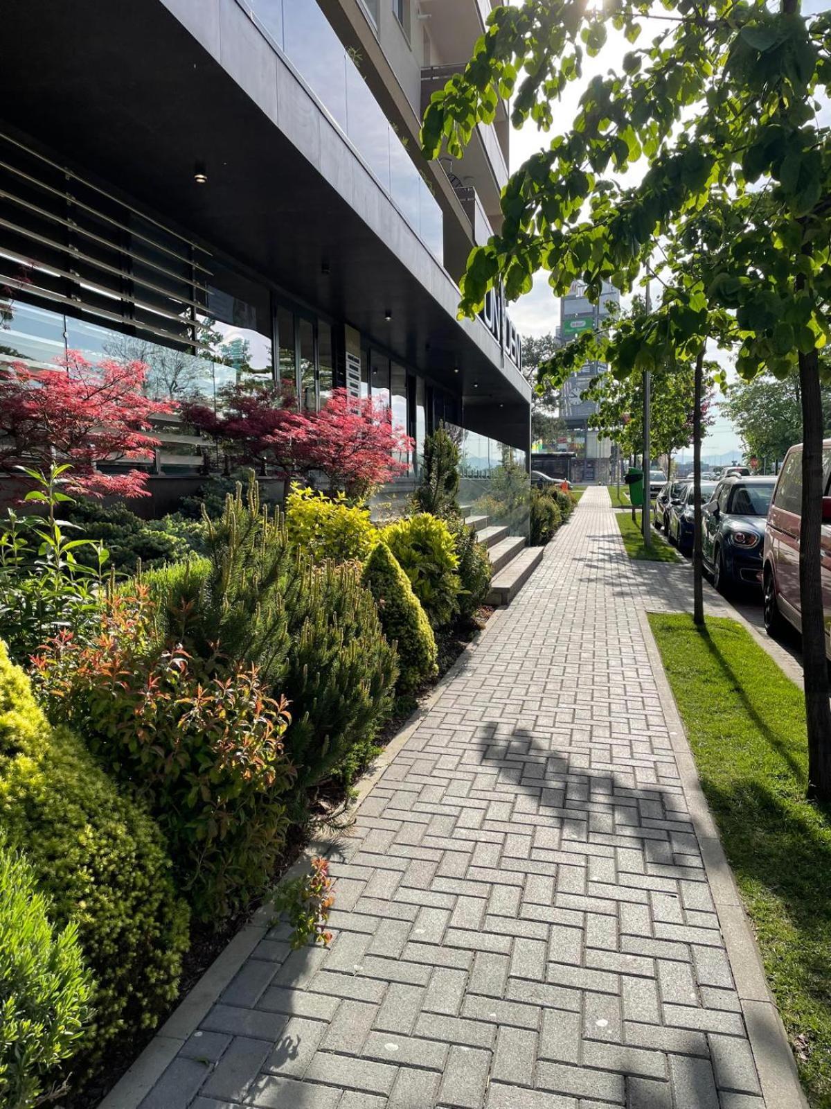 Alto Studio & Free Private Parking Brasov Ngoại thất bức ảnh