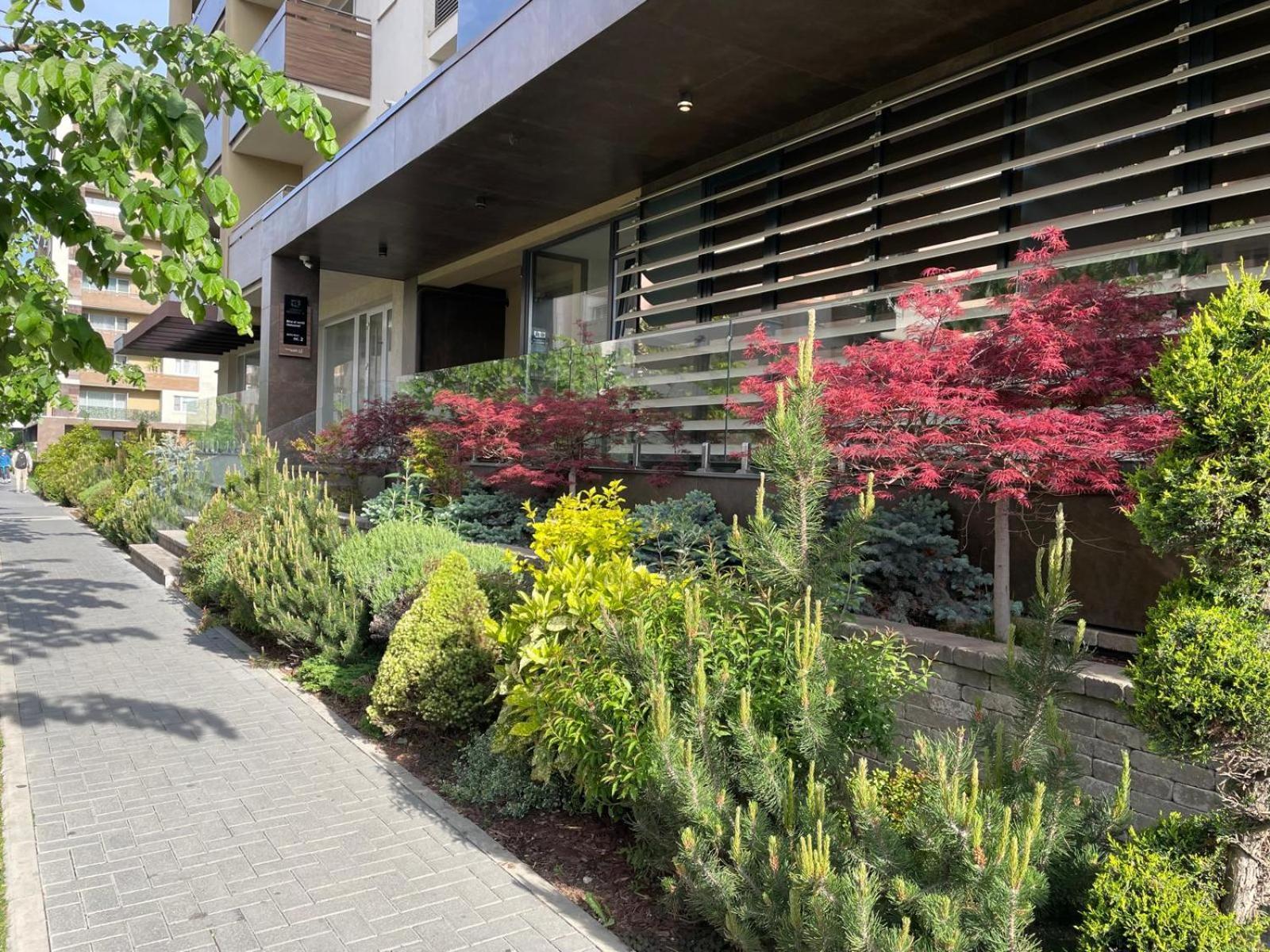 Alto Studio & Free Private Parking Brasov Ngoại thất bức ảnh